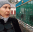 Сотрудники облправительства навестили в Большеречье раненого волка - ИА Омскрегион