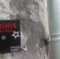 В Омске активизировались антифа - СуперОмск