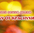 Краснуха - Родильный дом №2