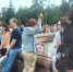Омичи обсуждают пенсионерку, которая в День города ловила монеты в фонтане   [ФОТО]   - РИА Омск-Информ
