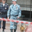 Чтобы хорошо понимать друг друга, кинолог и его питомец должны быть друзьями. - Аргументы и факты