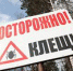 Клещи покусали уже почти 400 детей - РИА Омск-Информ