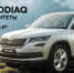 SKODA KODIAQ на Городском пикнике! - Om1.Ru