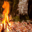 В районах Омской области могут ввести режим ЧС - Om1.Ru