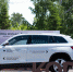 SKODA KODIAQ на Городском пикнике: как это было - Om1.Ru