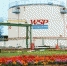 Крутогорский нефтезавод потребовал с табачников 700 миллионов рублей - СуперОмск