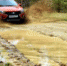 Спорткар на минималках: первый тест Lada Vesta Sport - Om1.Ru