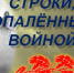 О войне стихами скажем… - Molodoy.Info