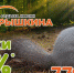 База отдыха им. А.И. Покрышкина дарит весенние акции - BiletOmsk.Ru