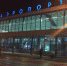 Омич-дебошир устроил стриптиз у входа в аэропорт - Om1.Ru