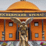 В крематории Новосибирска ведутся обыски - Om1.Ru