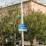 В мэрии прокомментировали скандальный снос деревьев в центре Омска - РИА Омск-Информ