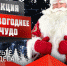 Омичей ждёт "Новогоднее чудо" от "Авангарда" - ГТРК Омск