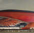 Инвестиционный аналитик высказал мнение, почему «Арена Омск» не будет построена - СуперОмск