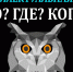 В институте развития образования подвели итоги V областного турнира интеллектуальных игр «Что? Где? Когда?» - Минобрнауки Омской области