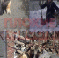 В Омске отказались заводить дело на супругов, пустивших чужого щенка на холодец - ИА Новый Омск