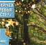 Юные омичи слышат сразу две сказки на ночь - ИА Омск здесь