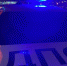 Новосибирцев попросили сидеть дома в день приезда премьер-министра России - Om1.Ru