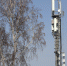 Tele2 улучшили связь сразу в 21 районе Омской области - СуперОмск