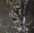 Проводится проверка по факту автоаварии с летальным исходом - ГИБДД