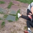 Назвали геем и издевались: появились новые факты избиения новосибирского подростка на набережной - Om1.Ru