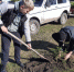 Расти и зеленей, село родное - Газета Омский пригород