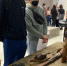 Более 500 омских школьников отправились «Навстречу истории» - Вечерний Омск