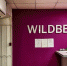 Сбой работы интернет-магазина Wildberries произошёл в Новосибирске - Om1.Ru