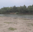Следователями проводятся проверки по фактам несчастных случаев на воде - Omsk-news.net