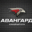 СМИ: Волков планировал привести на пост главного тренера «Авангарда» Скабелку - Omsk-news.net