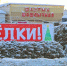 В Советском округе Омска определили девять мест для торговли елками - ИА Омскрегион