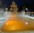 Омичей приглашают в сосновый бор за релаксом и здоровьем - РИА Омск-информ