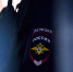В Нижнем Новгороде осудили проституток, укравших у клиента шиншиллу - Omsk-news.net