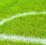 В Омске снесут стадион «Сокол» - Omsk-news.net