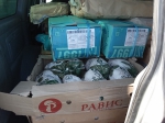 В ППУ «Исилькульский» задержано более 450 кг животноводческой продукции без необходимых документов - https://55.fsvps.gov.ru/