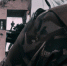 «Герои спецоперации» на экране: графический роман об участниках СВО показали в Новосибирске - Om1.Ru