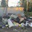 В Омске выявлено 152 факта незаконного сброса мусора - Om1.Ru