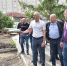 Благоустройству сквера имени Казанника в Омске придали ускорение - РИА Омск-информ