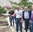 Благоустройству сквера имени Казанника в Омске придали ускорение - Omsk-news.net