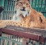 Запись на мероприятия «Эĸсĸурсионного флешмоба – 2023» откроется 18 августа - Министерство культуры