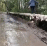 Жители нового дома в Омске вынуждены идти до остановки по теплотрассе - Omsk-news.net