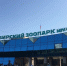 Пуму и кенгуру за 280 тысяч рублей купит Новосибирский зоопарк - Om1.Ru