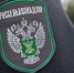 В России с ящуром и сибирской язвой будут бороться, дезинфицируя транспорт - РИА Омск-информ
