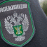 В России с ящуром и сибирской язвой будут бороться, дезинфицируя транспорт - Omsk-news.net