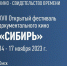 В Омской области пройдет XVII Открытый фестиваль документального кино «Сибирь» - Правительство Омской области
