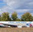 Севший в пшеничном поле Airbus A-320 разберут на запчасти - Om1.Ru