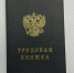 Служба занятости представила «горячие» вакансии в Омске с зарплатой до 100 тысяч рублей - СуперОмск