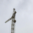 «Однушка» за 9 миллионов. Объявлены цены на квартиры в новом ЖК в центре Омска - Om1.Ru