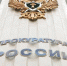 Омская прокуратура начала проверку по факту нападения бездомной собаки на первоклассницу - ИА Омскрегион