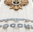 Омская прокуратура начала проверку по факту нападения бездомной собаки на первоклассницу - Omsk-news.net